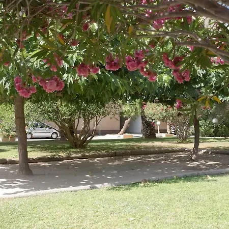 Dans Un Ecrin De Verdure Daire Hyères